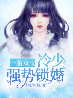 一胎双宝：冷少强势锁婚-宝宝|婚恋|专情|豪宠|虐恋-趣阅小说网