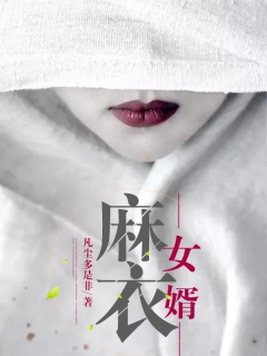 麻衣女婿-风水|女婿|杂谈-趣阅小说网