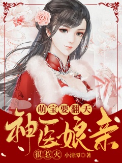 萌宝要翻天，神医娘亲很惹火-爽文|医妃|萌宝|虐渣|甜宠|霸道-趣阅小说网
