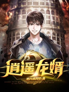 逍遥龙婿-赘婿|爽文-趣阅小说网